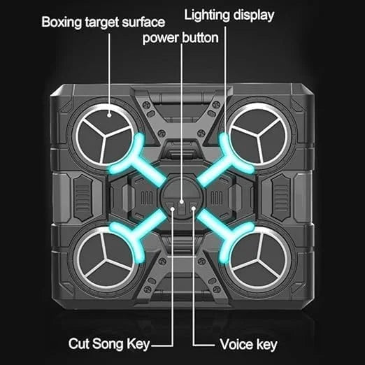 Wall Mounted Boxing Training Machine