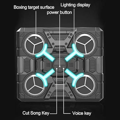 Wall Mounted Boxing Training Machine