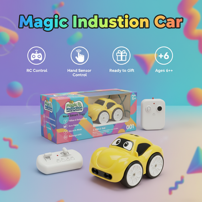 Electric Mini Remote & Induction Controlled Car