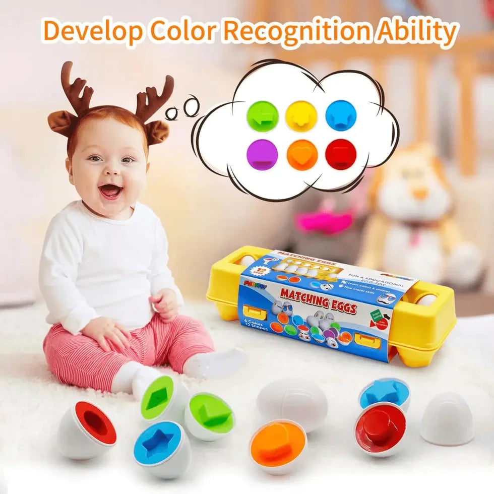 Multi Shapes & Numbers Eggs Toy