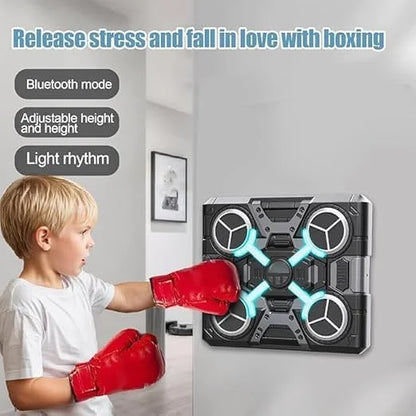 Wall Mounted Boxing Training Machine
